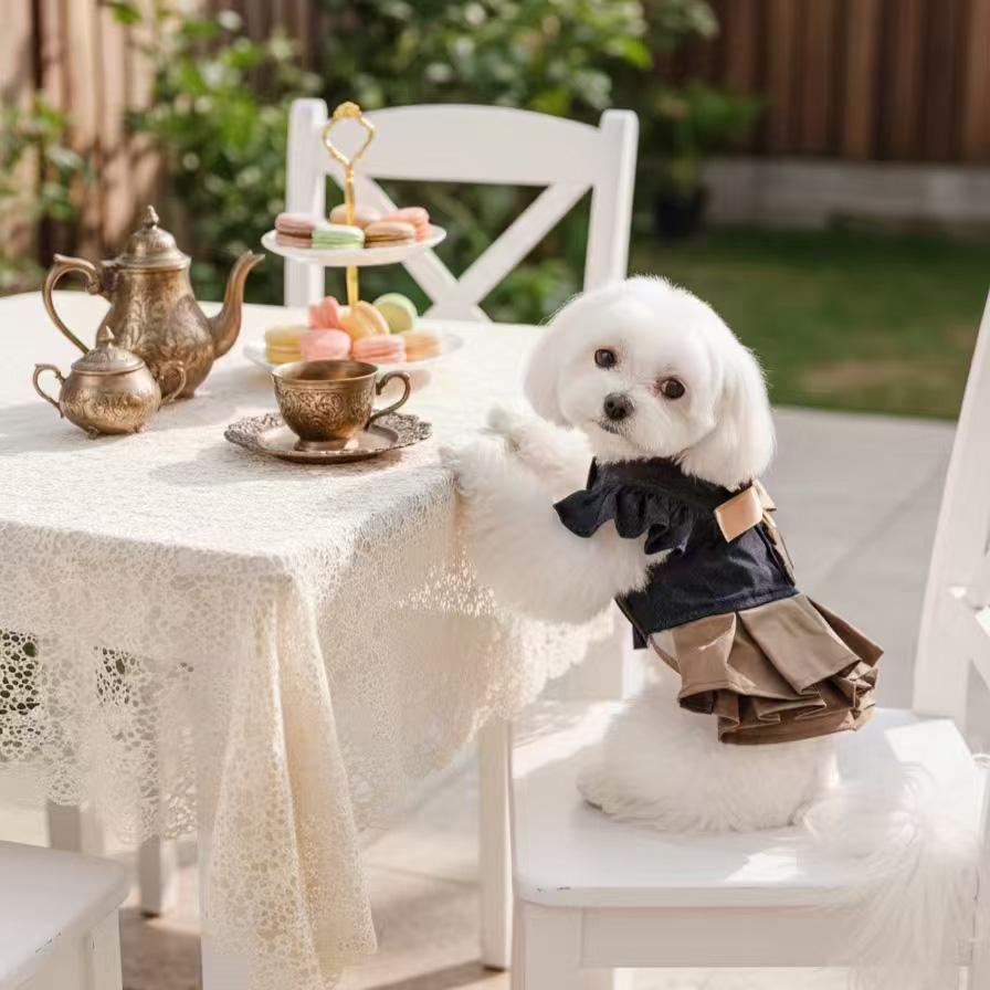 Preppy Style Pet Dress with Ruffle Collar and Bow Accent