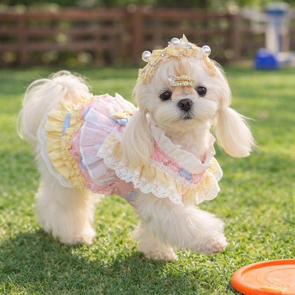 Pastel Pink Yellow Lace Pet Dress with Ruffle Trim